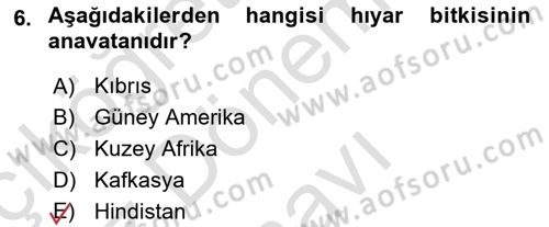 Bahçe Tarımı Dersi 2025 - 2026 Yılı (Final) Dönem Sonu Sınav Soruları 6. Soru