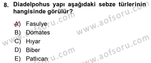 Bahçe Tarımı Dersi 2025 - 2026 Yılı (Final) Dönem Sonu Sınav Soruları 8. Soru