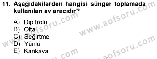 Balık Yetiştiriciliği Dersi 2012 - 2013 Yılı (Vize) Ara Sınav Soruları 11. Soru