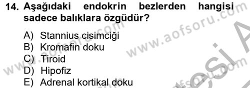 Balık Yetiştiriciliği Dersi 2012 - 2013 Yılı (Vize) Ara Sınav Soruları 14. Soru