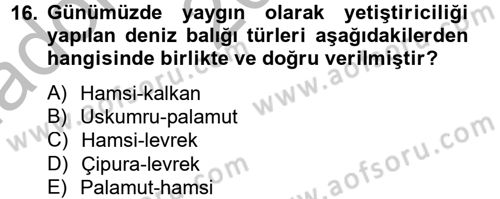 Balık Yetiştiriciliği Dersi 2012 - 2013 Yılı (Vize) Ara Sınav Soruları 16. Soru