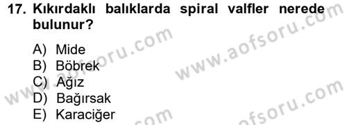 Balık Yetiştiriciliği Dersi 2012 - 2013 Yılı (Vize) Ara Sınav Soruları 17. Soru
