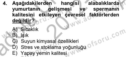 Balık Yetiştiriciliği Dersi 2012 - 2013 Yılı (Vize) Ara Sınav Soruları 4. Soru
