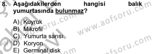 Balık Yetiştiriciliği Dersi 2012 - 2013 Yılı (Vize) Ara Sınav Soruları 8. Soru