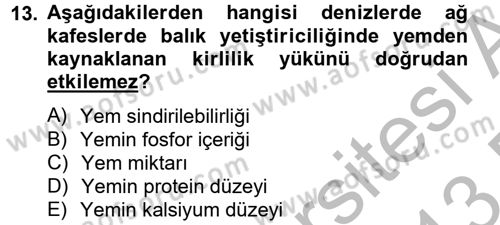 Balık Yetiştiriciliği Dersi 2012 - 2013 Yılı (Final) Dönem Sonu Sınav Soruları 13. Soru