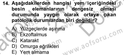 Balık Yetiştiriciliği Dersi 2012 - 2013 Yılı (Final) Dönem Sonu Sınav Soruları 14. Soru