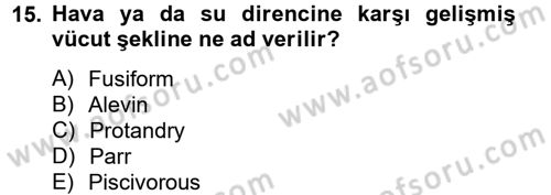 Balık Yetiştiriciliği Dersi 2012 - 2013 Yılı (Final) Dönem Sonu Sınav Soruları 15. Soru