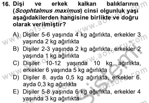 Balık Yetiştiriciliği Dersi 2012 - 2013 Yılı (Final) Dönem Sonu Sınav Soruları 16. Soru
