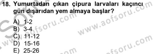 Balık Yetiştiriciliği Dersi 2012 - 2013 Yılı (Final) Dönem Sonu Sınav Soruları 18. Soru