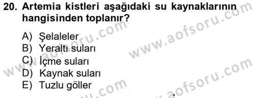 Balık Yetiştiriciliği Dersi 2012 - 2013 Yılı (Final) Dönem Sonu Sınav Soruları 20. Soru