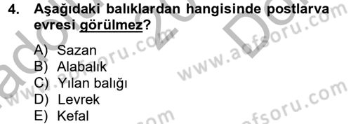 Balık Yetiştiriciliği Dersi 2012 - 2013 Yılı (Final) Dönem Sonu Sınav Soruları 4. Soru