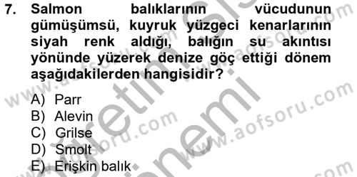 Balık Yetiştiriciliği Dersi 2012 - 2013 Yılı (Final) Dönem Sonu Sınav Soruları 7. Soru