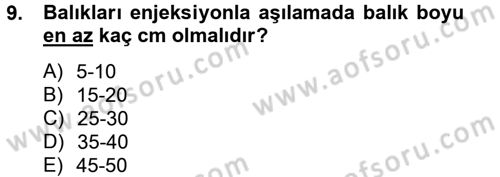 Balık Yetiştiriciliği Dersi 2012 - 2013 Yılı (Final) Dönem Sonu Sınav Soruları 9. Soru