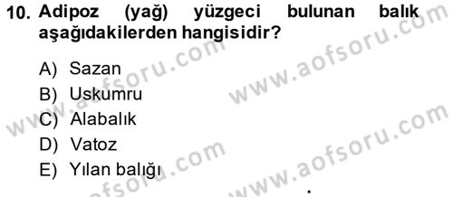 Balık Yetiştiriciliği Dersi 2013 - 2014 Yılı (Vize) Ara Sınav Soruları 10. Soru