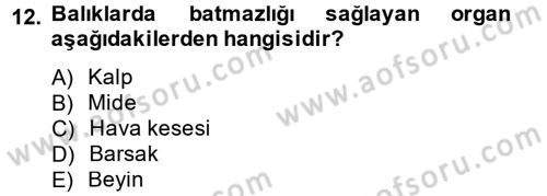 Balık Yetiştiriciliği Dersi 2013 - 2014 Yılı (Vize) Ara Sınav Soruları 12. Soru