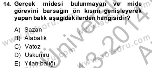 Balık Yetiştiriciliği Dersi 2013 - 2014 Yılı (Vize) Ara Sınav Soruları 14. Soru