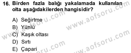 Balık Yetiştiriciliği Dersi 2013 - 2014 Yılı (Vize) Ara Sınav Soruları 16. Soru