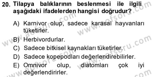 Balık Yetiştiriciliği Dersi 2013 - 2014 Yılı (Vize) Ara Sınav Soruları 20. Soru
