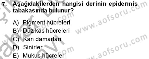 Balık Yetiştiriciliği Dersi 2013 - 2014 Yılı (Vize) Ara Sınav Soruları 7. Soru