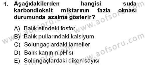 Balık Yetiştiriciliği Dersi 2013 - 2014 Yılı (Final) Dönem Sonu Sınav Soruları 1. Soru