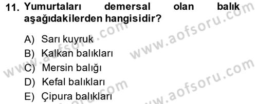 Balık Yetiştiriciliği Dersi 2013 - 2014 Yılı (Final) Dönem Sonu Sınav Soruları 11. Soru