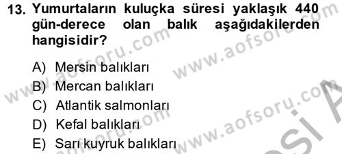 Balık Yetiştiriciliği Dersi 2013 - 2014 Yılı (Final) Dönem Sonu Sınav Soruları 13. Soru