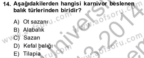 Balık Yetiştiriciliği Dersi 2013 - 2014 Yılı (Final) Dönem Sonu Sınav Soruları 14. Soru