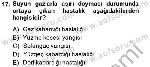 Balık Yetiştiriciliği Dersi 2013 - 2014 Yılı (Final) Dönem Sonu Sınav Soruları 17. Soru