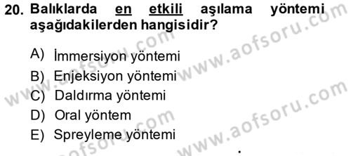 Balık Yetiştiriciliği Dersi 2013 - 2014 Yılı (Final) Dönem Sonu Sınav Soruları 20. Soru