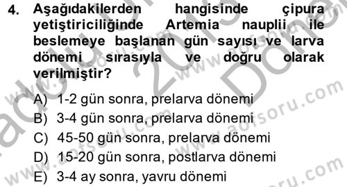 Balık Yetiştiriciliği Dersi 2013 - 2014 Yılı (Final) Dönem Sonu Sınav Soruları 4. Soru