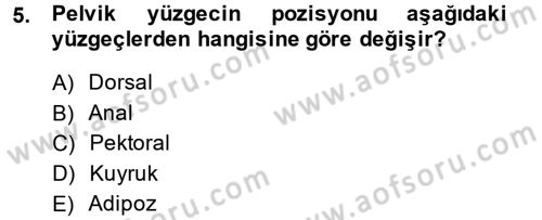 Balık Yetiştiriciliği Dersi 2013 - 2014 Yılı (Final) Dönem Sonu Sınav Soruları 5. Soru