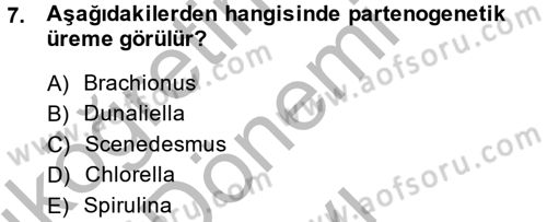 Balık Yetiştiriciliği Dersi 2013 - 2014 Yılı (Final) Dönem Sonu Sınav Soruları 7. Soru