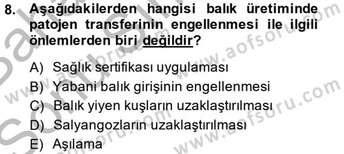 Balık Yetiştiriciliği Dersi 2013 - 2014 Yılı (Final) Dönem Sonu Sınav Soruları 8. Soru