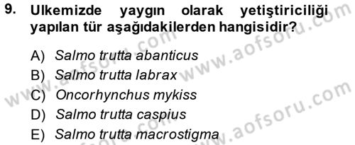 Balık Yetiştiriciliği Dersi 2013 - 2014 Yılı (Final) Dönem Sonu Sınav Soruları 9. Soru