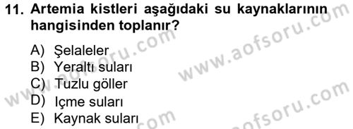 Balık Yetiştiriciliği Dersi 2013 - 2014 Yılı Tek Ders Sınav Soruları 11. Soru