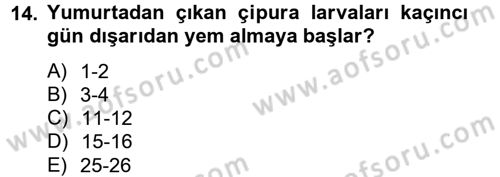 Balık Yetiştiriciliği Dersi 2013 - 2014 Yılı Tek Ders Sınav Soruları 14. Soru
