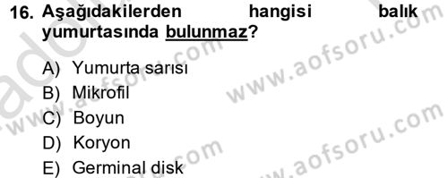 Balık Yetiştiriciliği Dersi 2013 - 2014 Yılı Tek Ders Sınav Soruları 16. Soru