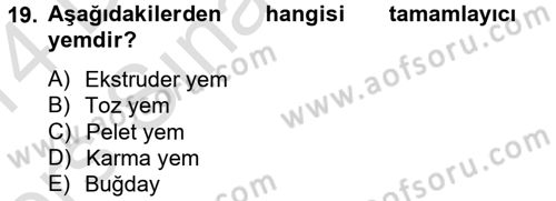 Balık Yetiştiriciliği Dersi 2013 - 2014 Yılı Tek Ders Sınav Soruları 19. Soru