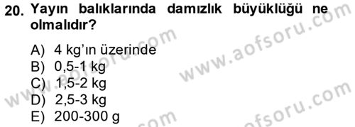Balık Yetiştiriciliği Dersi 2013 - 2014 Yılı Tek Ders Sınav Soruları 20. Soru