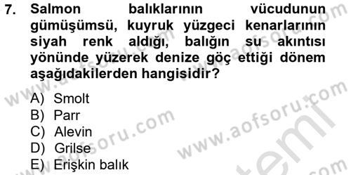 Balık Yetiştiriciliği Dersi 2013 - 2014 Yılı Tek Ders Sınav Soruları 7. Soru