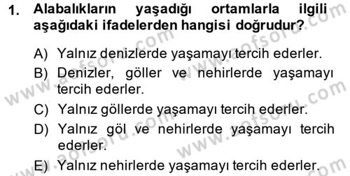 Balık Yetiştiriciliği Dersi 2014 - 2015 Yılı (Vize) Ara Sınav Soruları 1. Soru