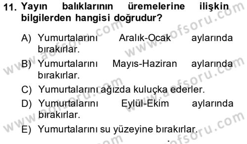 Balık Yetiştiriciliği Dersi 2014 - 2015 Yılı (Vize) Ara Sınav Soruları 11. Soru