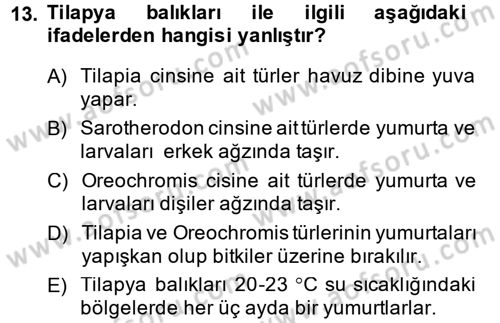 Balık Yetiştiriciliği Dersi 2014 - 2015 Yılı (Vize) Ara Sınav Soruları 13. Soru