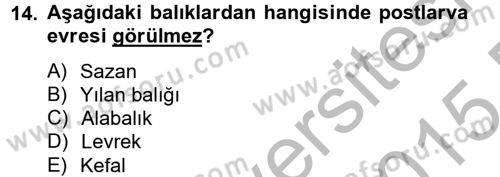 Balık Yetiştiriciliği Dersi 2014 - 2015 Yılı (Vize) Ara Sınav Soruları 14. Soru