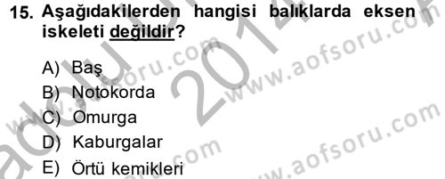 Balık Yetiştiriciliği Dersi 2014 - 2015 Yılı (Vize) Ara Sınav Soruları 15. Soru