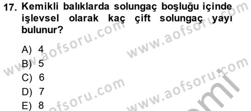 Balık Yetiştiriciliği Dersi 2014 - 2015 Yılı (Vize) Ara Sınav Soruları 17. Soru