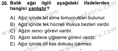 Balık Yetiştiriciliği Dersi 2014 - 2015 Yılı (Vize) Ara Sınav Soruları 20. Soru