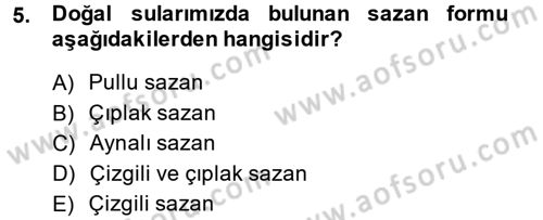 Balık Yetiştiriciliği Dersi 2014 - 2015 Yılı (Vize) Ara Sınav Soruları 5. Soru