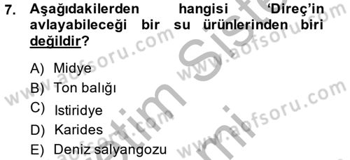 Balık Yetiştiriciliği Dersi 2014 - 2015 Yılı (Vize) Ara Sınav Soruları 7. Soru
