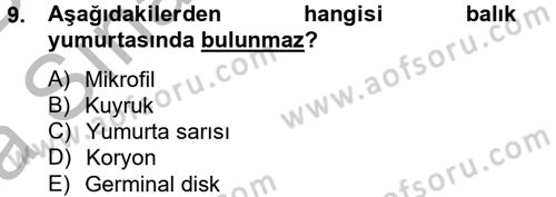 Balık Yetiştiriciliği Dersi 2014 - 2015 Yılı (Vize) Ara Sınav Soruları 9. Soru